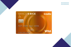 Visa Gold Bice