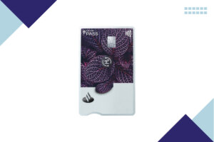 Platinum Santander LATAM Pass